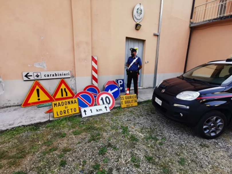 Sedici cartelli stradali e una pianta di marijuana in casa: denunciato un minore